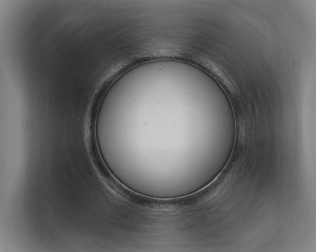 X0000112360677200908131235