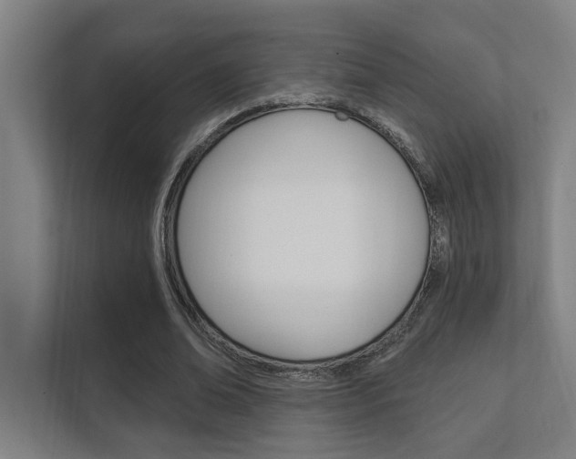 X0000112360678200908131235