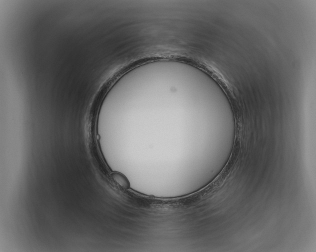 X0000112360679200908131235