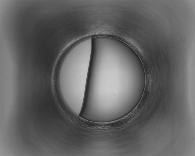 X0000112360680200908131235
