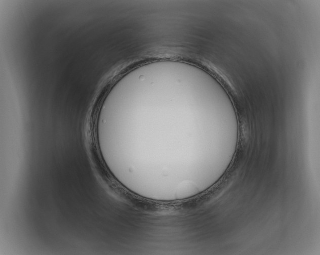 X0000112360682200908131235