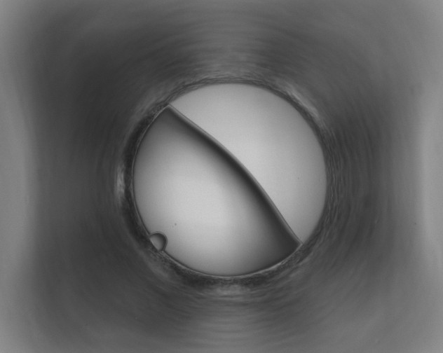 X0000112360685200908131235