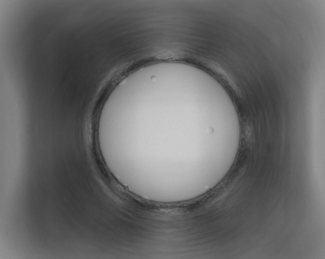 X0000112360686200908131235