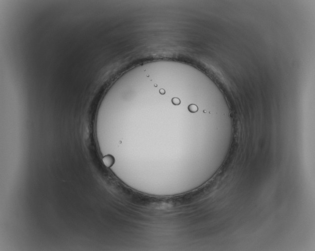 X0000112360687200908131235