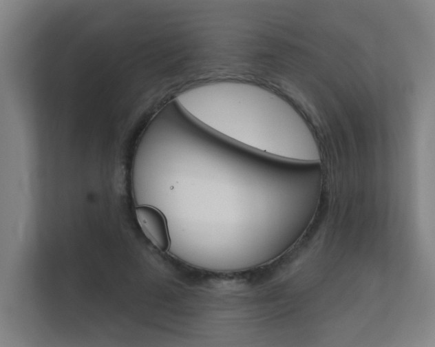 X0000112360689200908131235