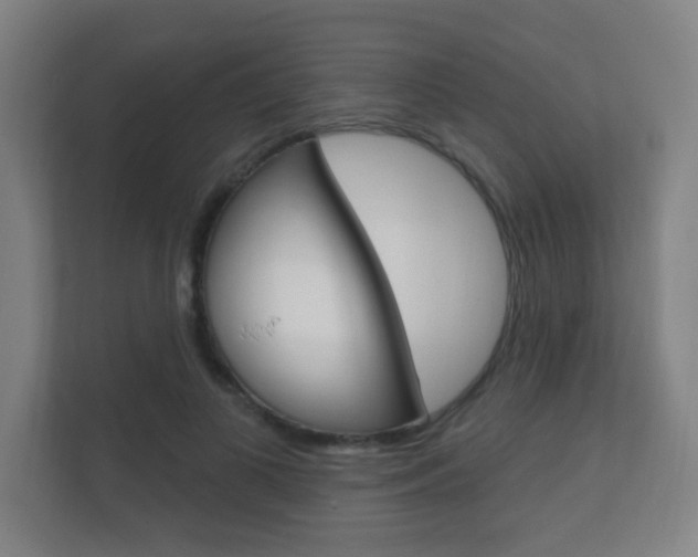 X0000112360693200908131235