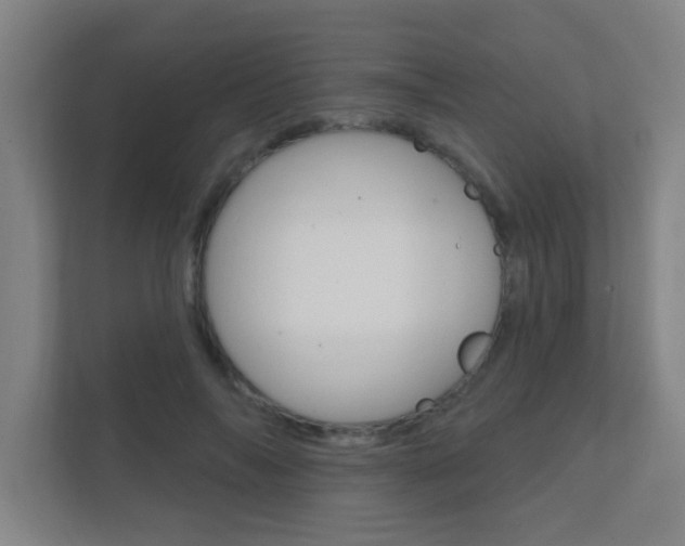 X0000112360694200908131235