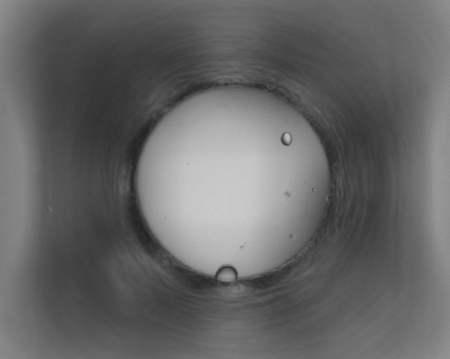 X0000112360695200908131234