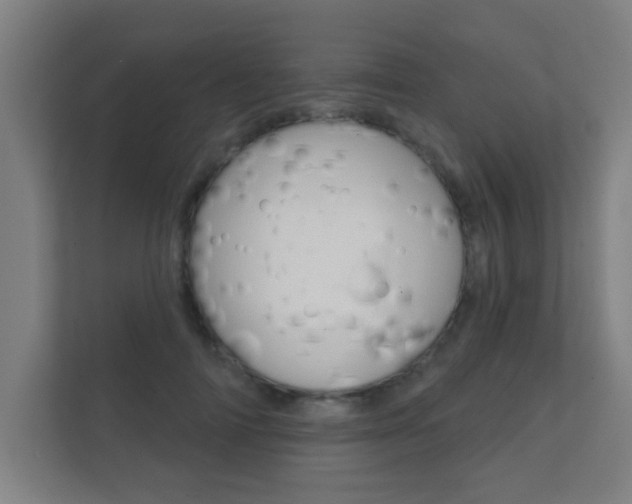 X0000112360698200908131234