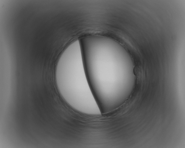 X0000112360700200908131234