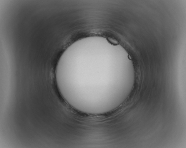 X0000112360707200908131234