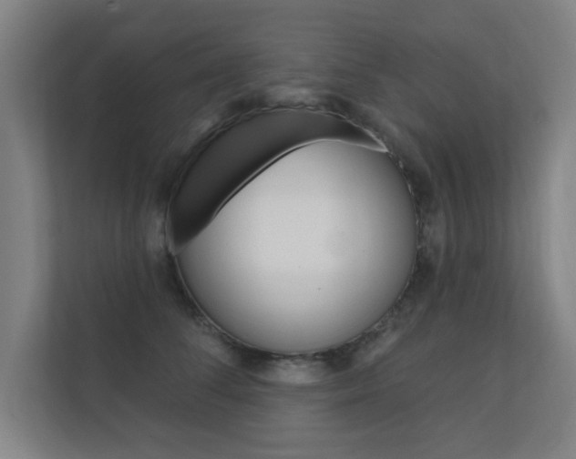 X0000112360708200908131234