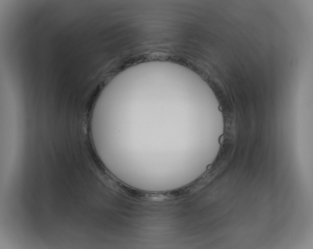 X0000112360710200908131234