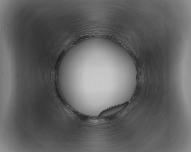 X0000112360712200908131234