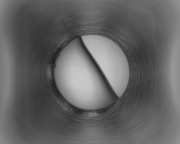 X0000112360715200908131234