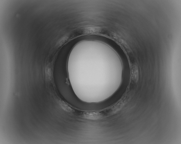 X0000112360716200908131234