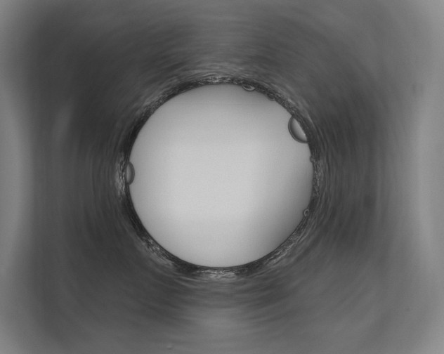 X0000112360719200908131234