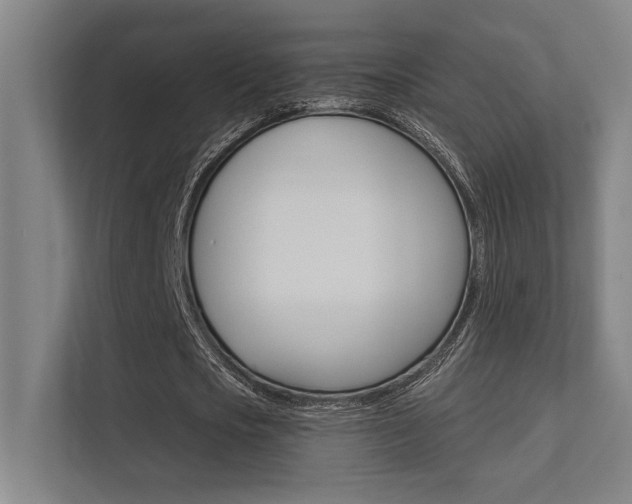 X0000112360721200908131234