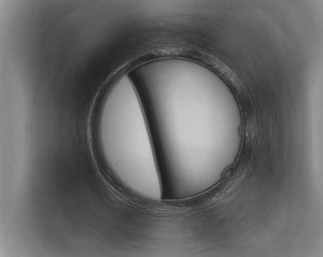 X0000112360722200908131234