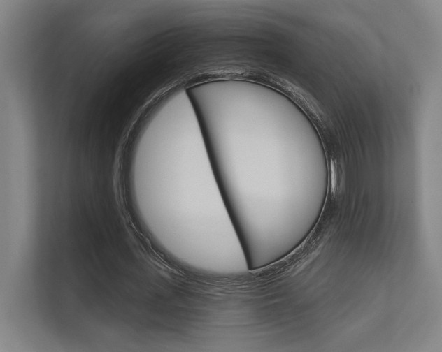 X0000112360723200908131234