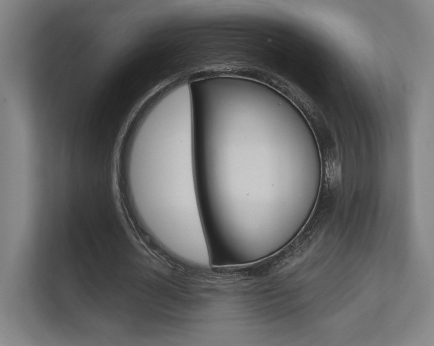 X0000112360724200908131234