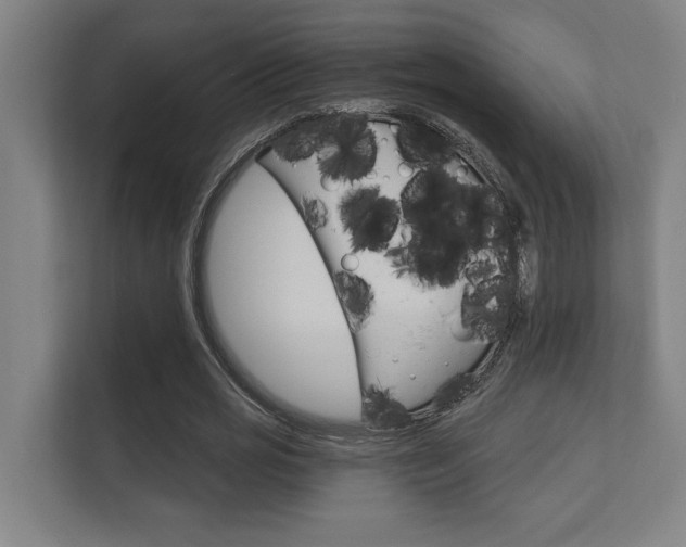 X0000112360725200908131234