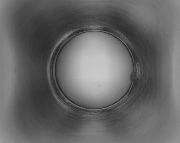 X0000112360726200908131234