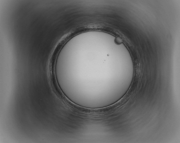 X0000112360727200908131234