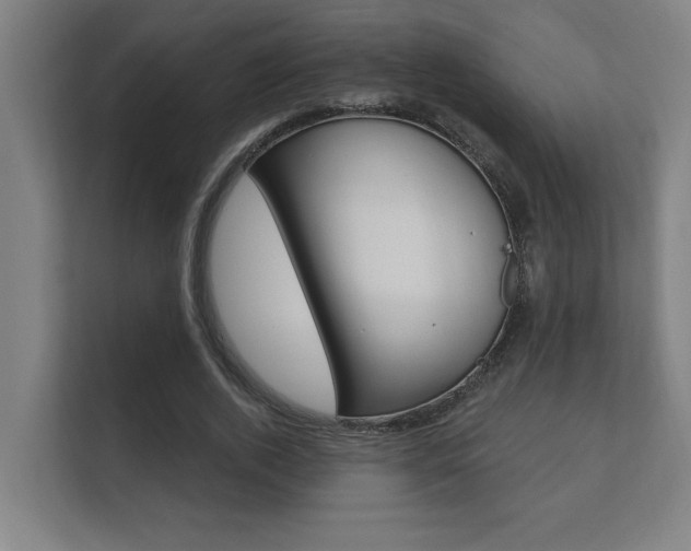 X0000112360728200908131234