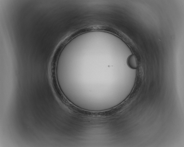 X0000112360730200908131234