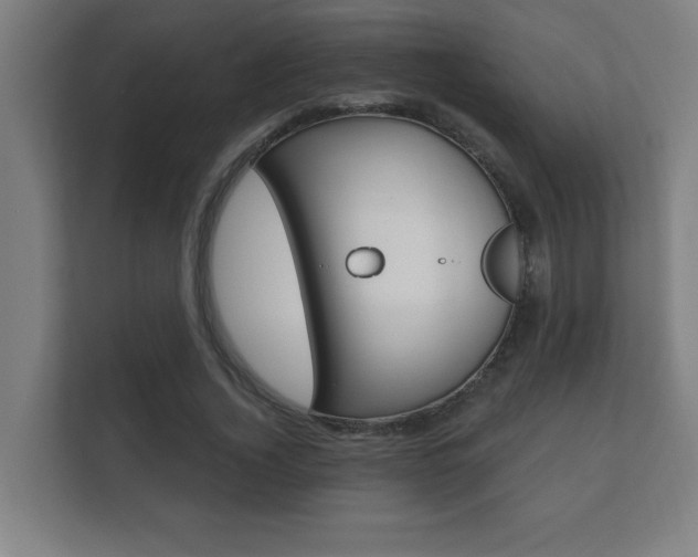X0000112360732200908131234