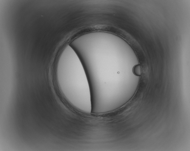 X0000112360734200908131234