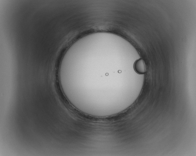 X0000112360738200908131234