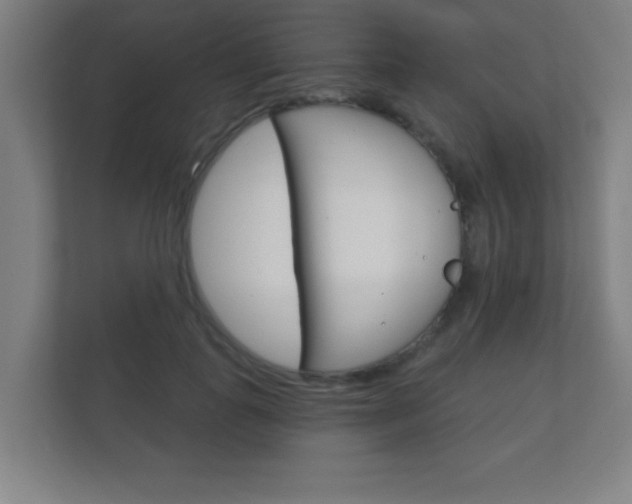 X0000112360747200908131234
