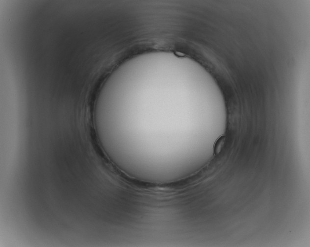 X0000112360748200908131234