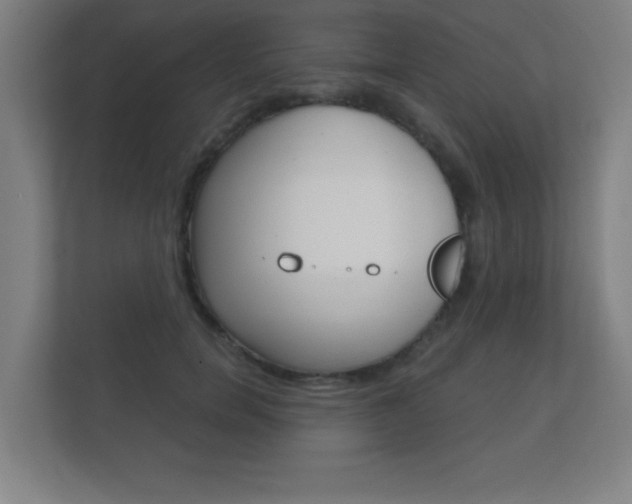X0000112360750200908131234