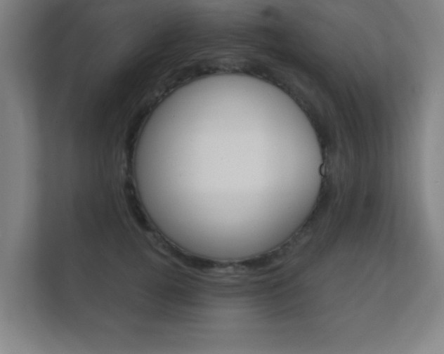 X0000112360752200908131234