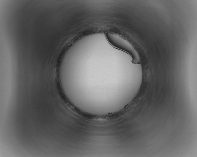 X0000112360756200908131234