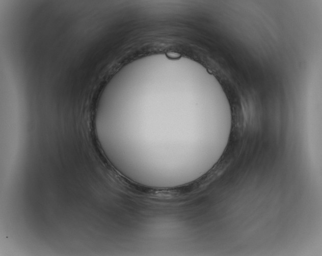 X0000112360758200908131234