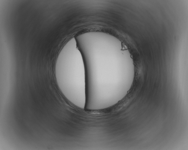 X0000112360759200908131234
