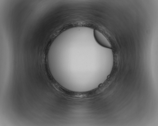 X0000112360760200908131234