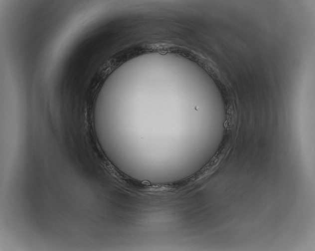 X0000112360762200908131234