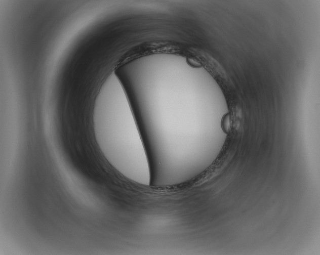 X0000112360763200908131234