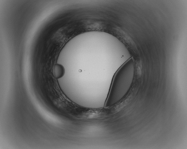 X0000112360764200908131234