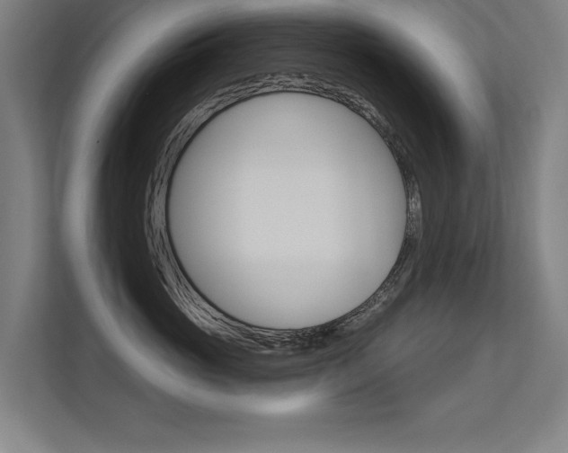 X0000112360765200908131234