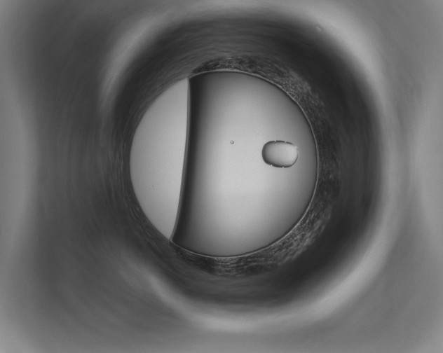 X0000112360766200908131234