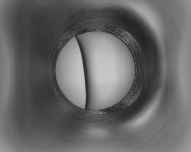 X0000112360767200908131234