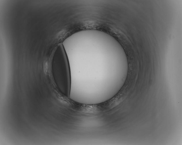 X0000112360768200908131234