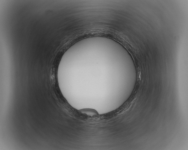 X0000112360771200908131234