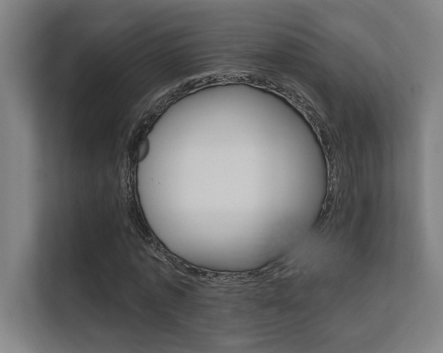 X0000112360773200908131233